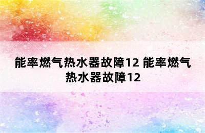 能率燃气热水器故障12 能率燃气热水器故障12